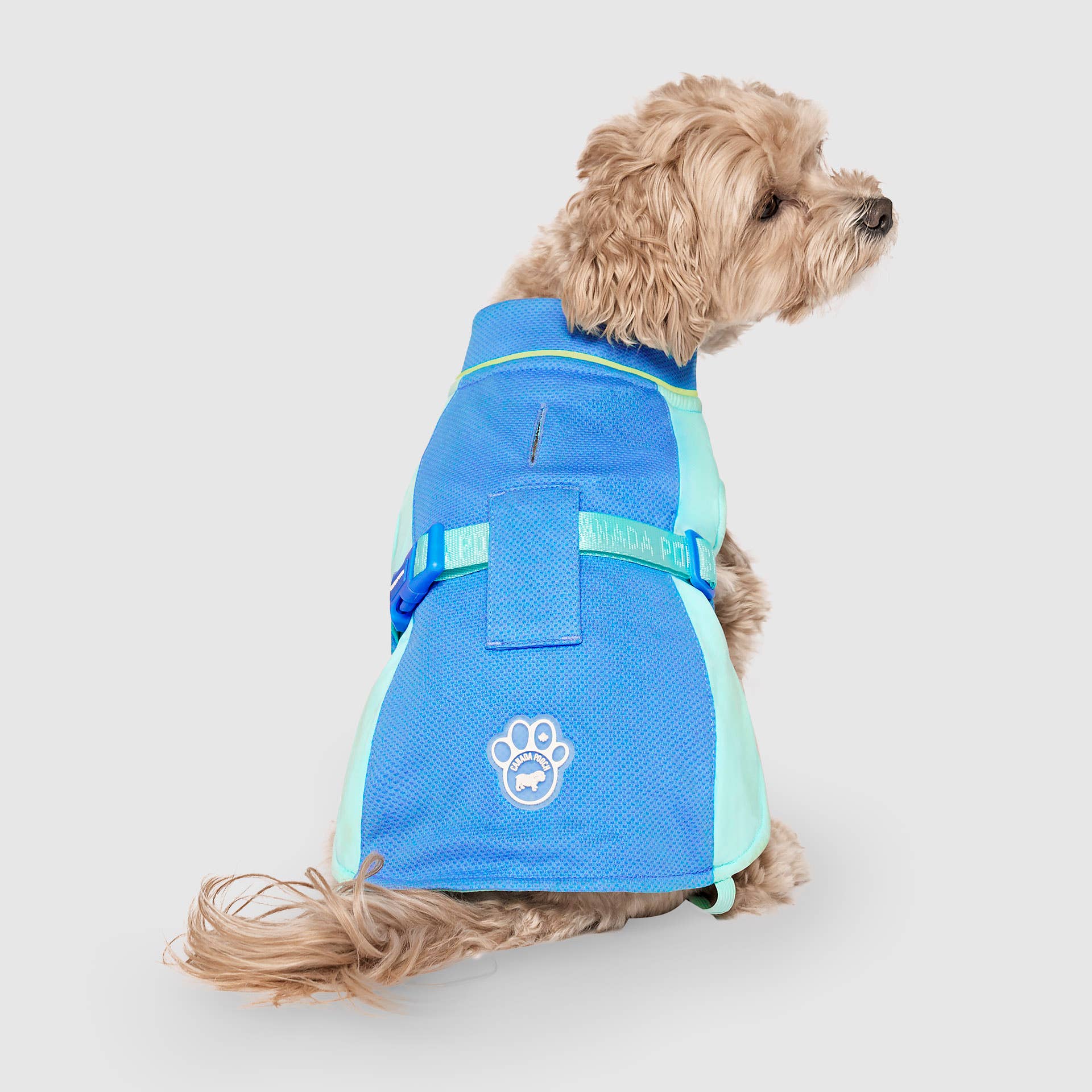 Gilet rafraîchissant Max Chill pour chien