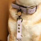 Collier biothane mauve - LAVANDE