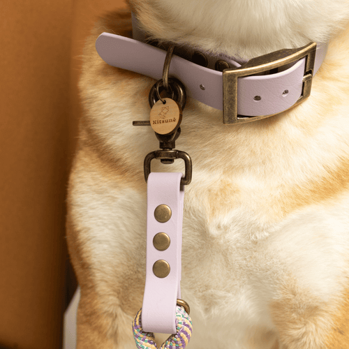 Collier biothane mauve - LAVANDE