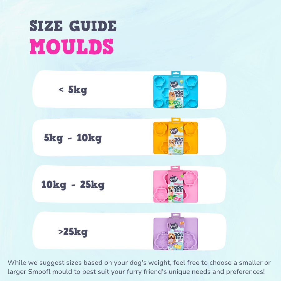 Moule pour glace - Moyen