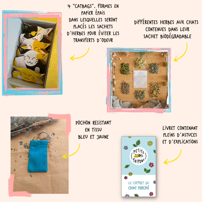 Coffret découverte herbes à chats