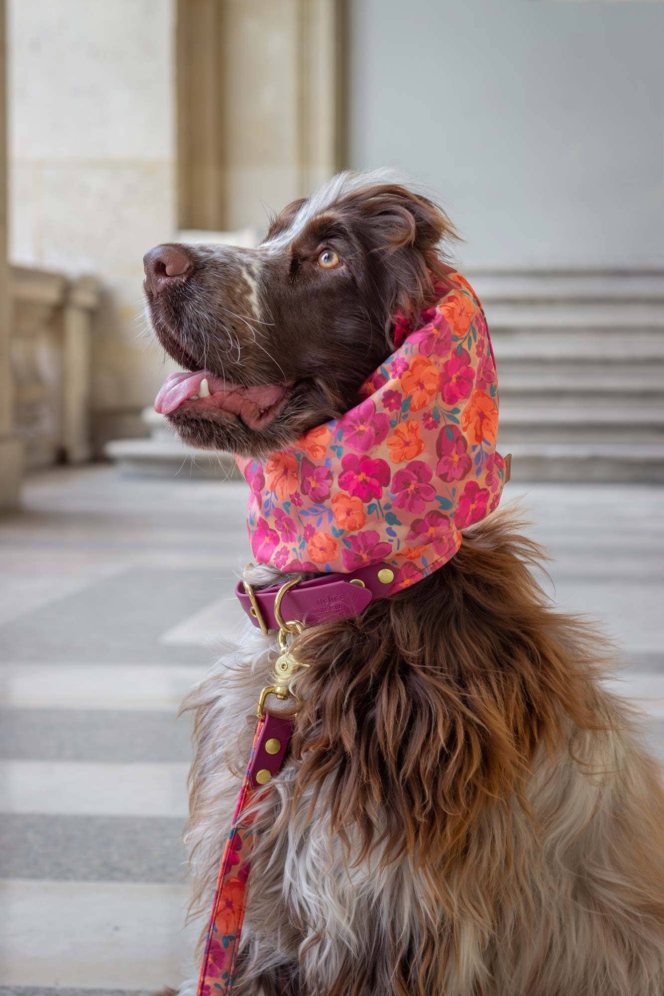 Snood Bellagio