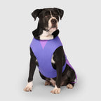 Gilet rafraîchissant Max Chill pour chien