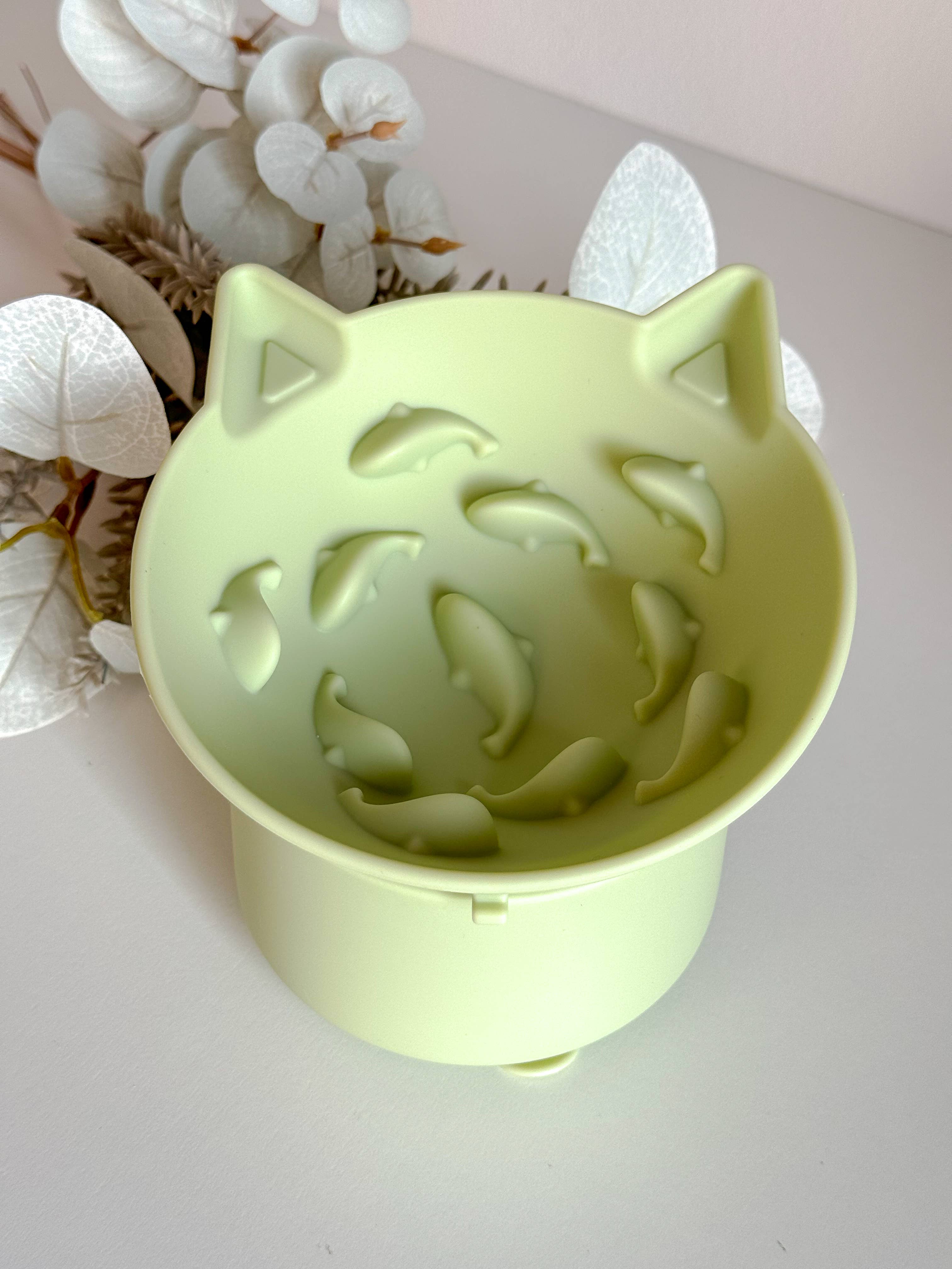 Gamelle pour chat