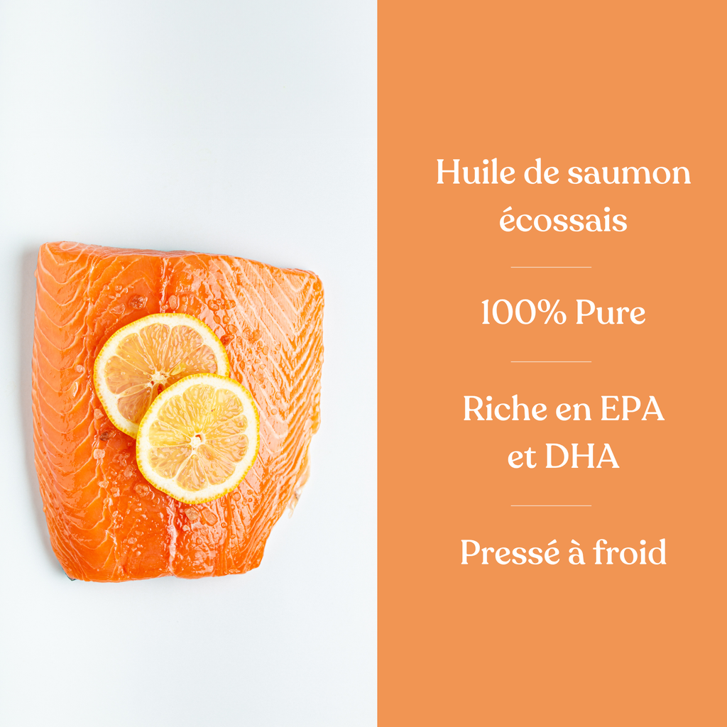 Huile de saumon