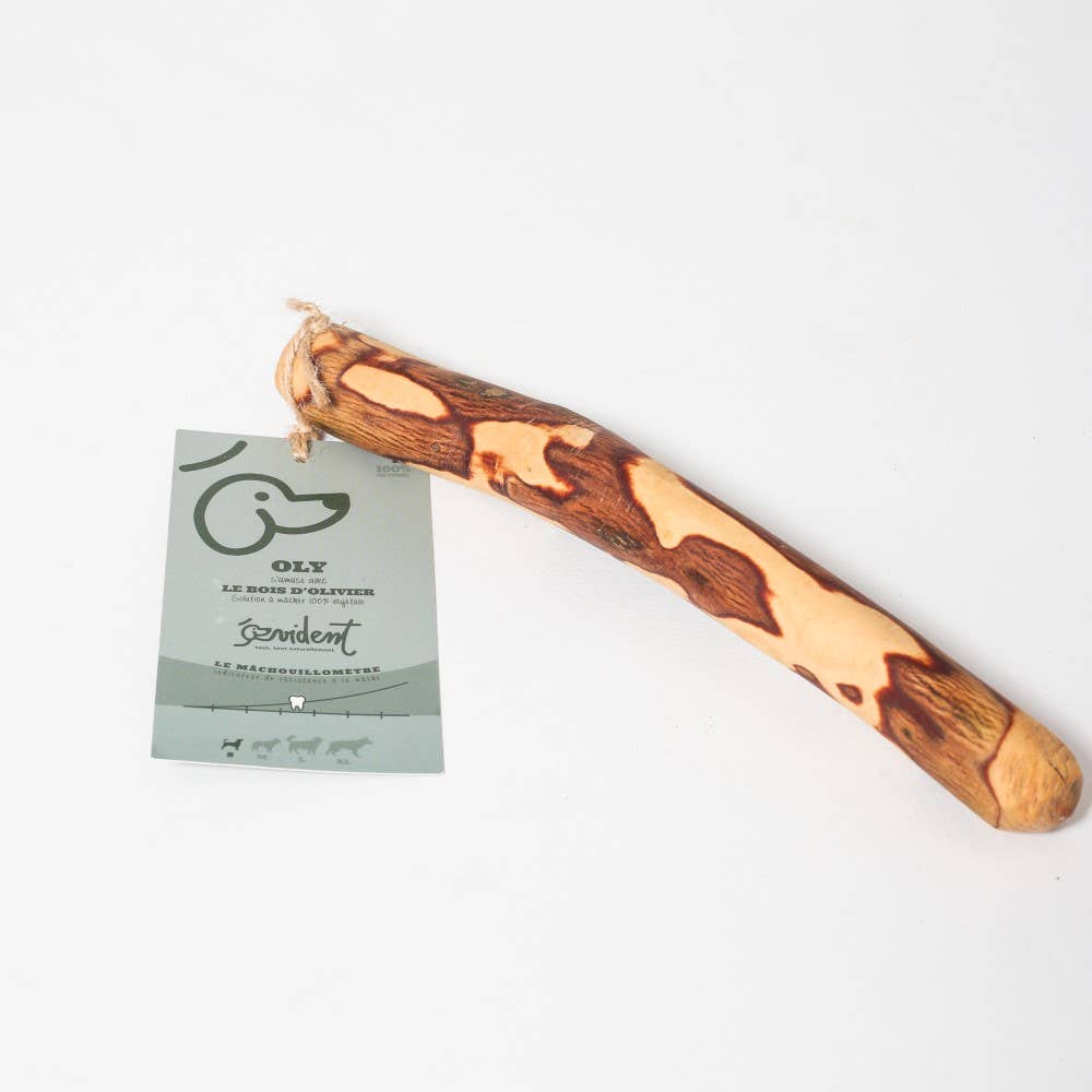 Bâton en bois d'olivier