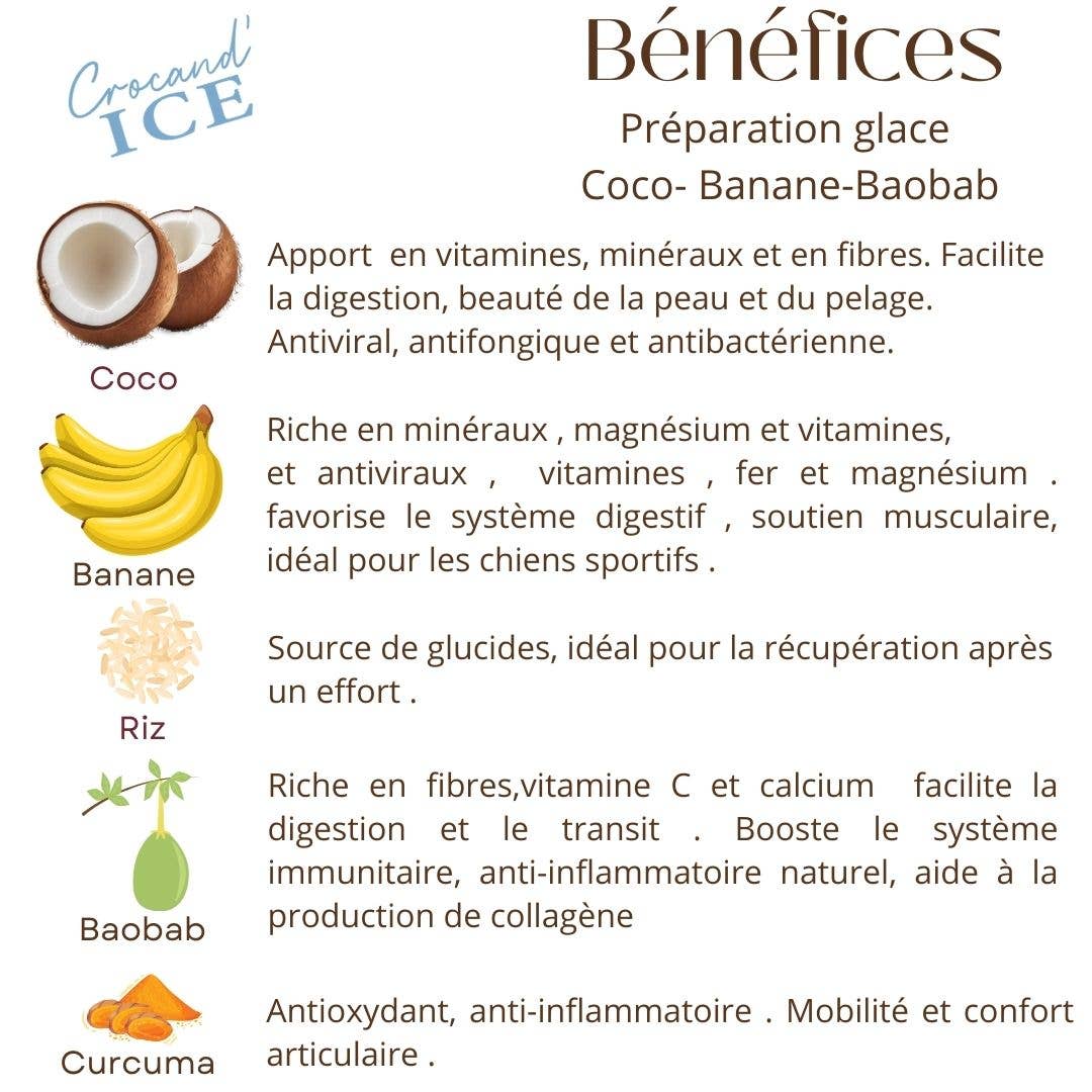 Glace pour chien  coco-banane