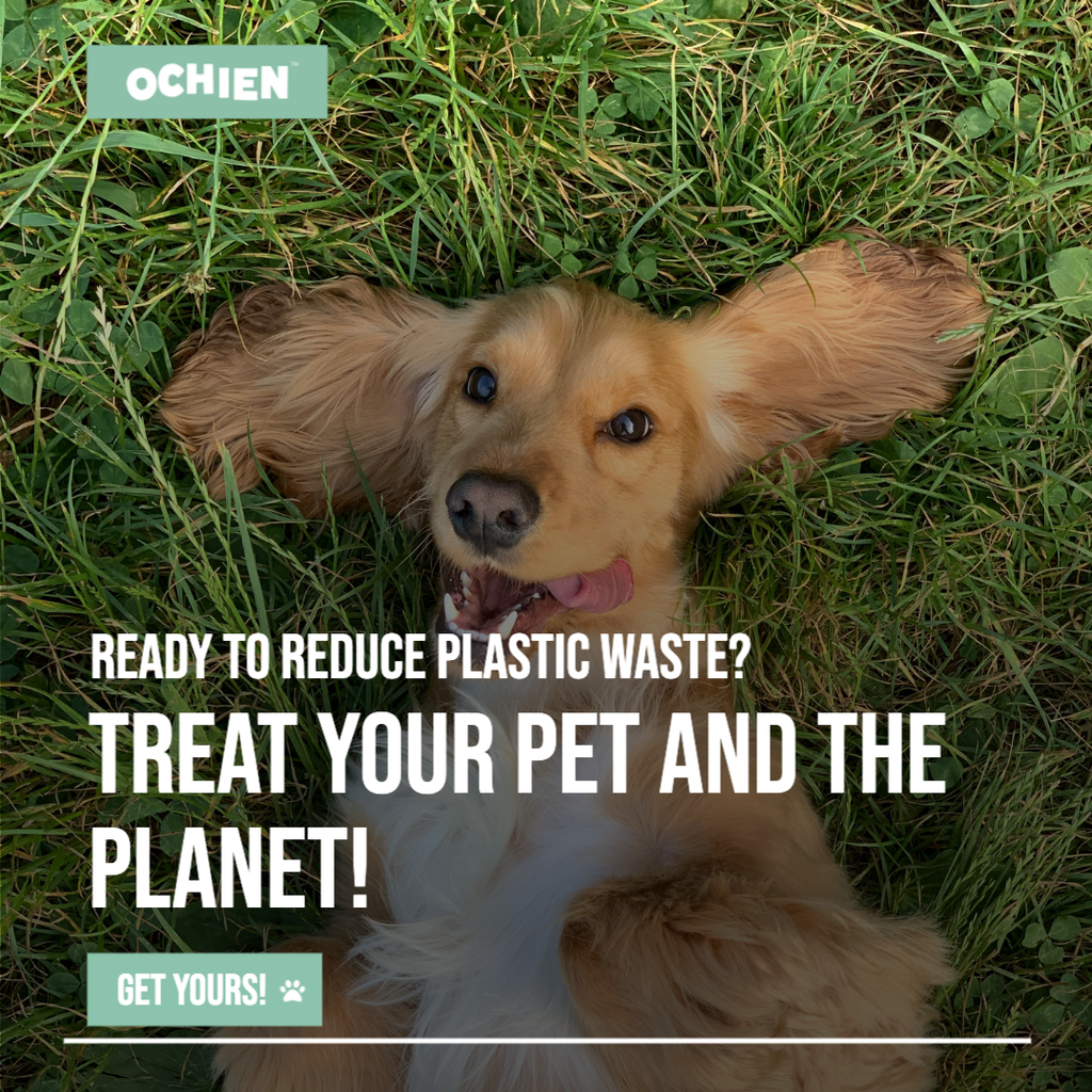 Gamelle pour chien en plastique océanique recyclé