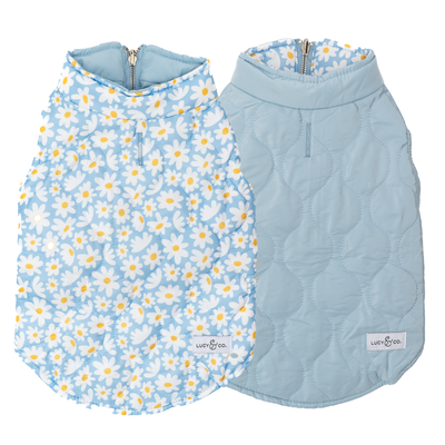 Reversible jacket