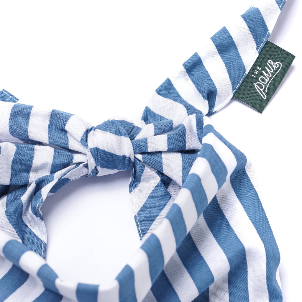 Bandana - Rayures bleues