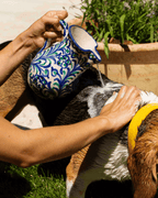 Shampoing doux pour peaux sensibles
