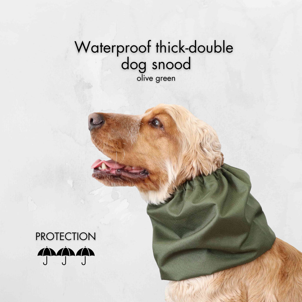 Snood Imperméable pour Chien | Vert Olive