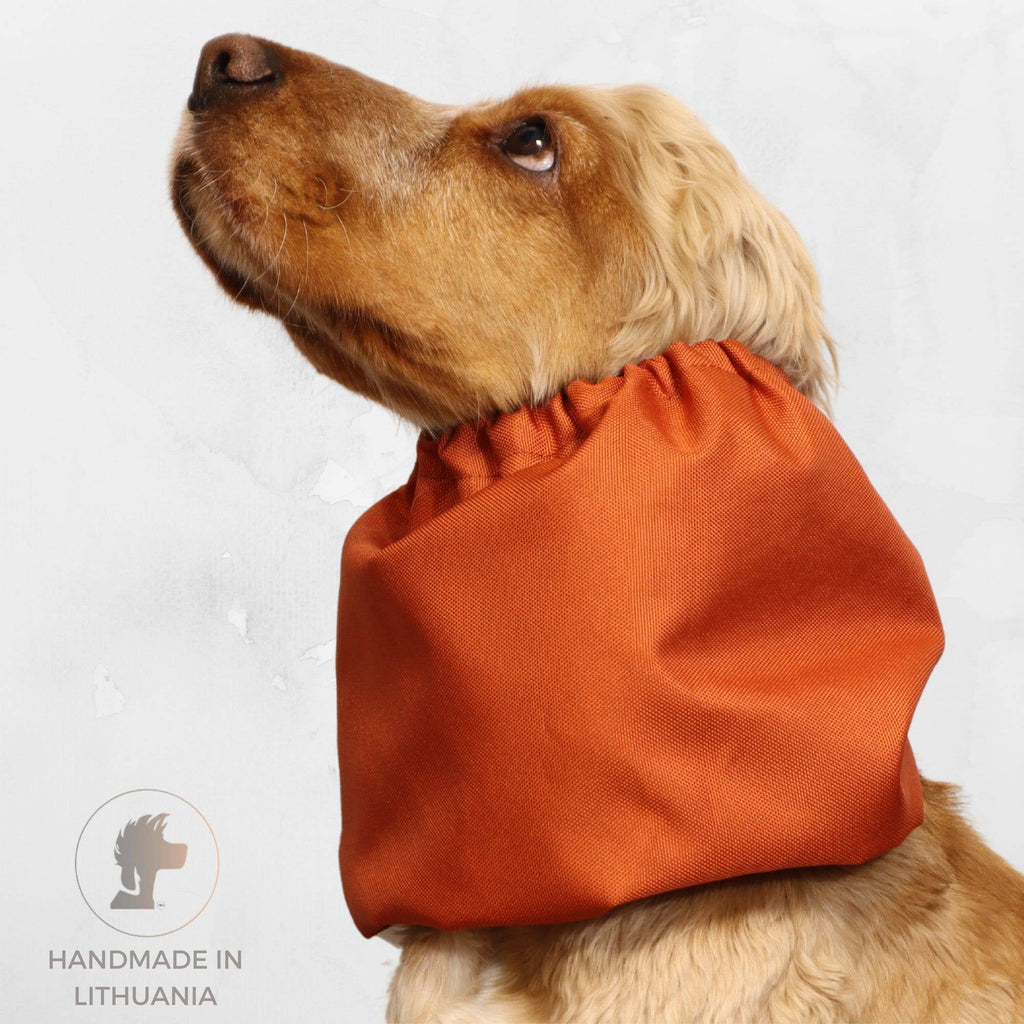 Tour de cou imperméable pour chien | Orange brûlé