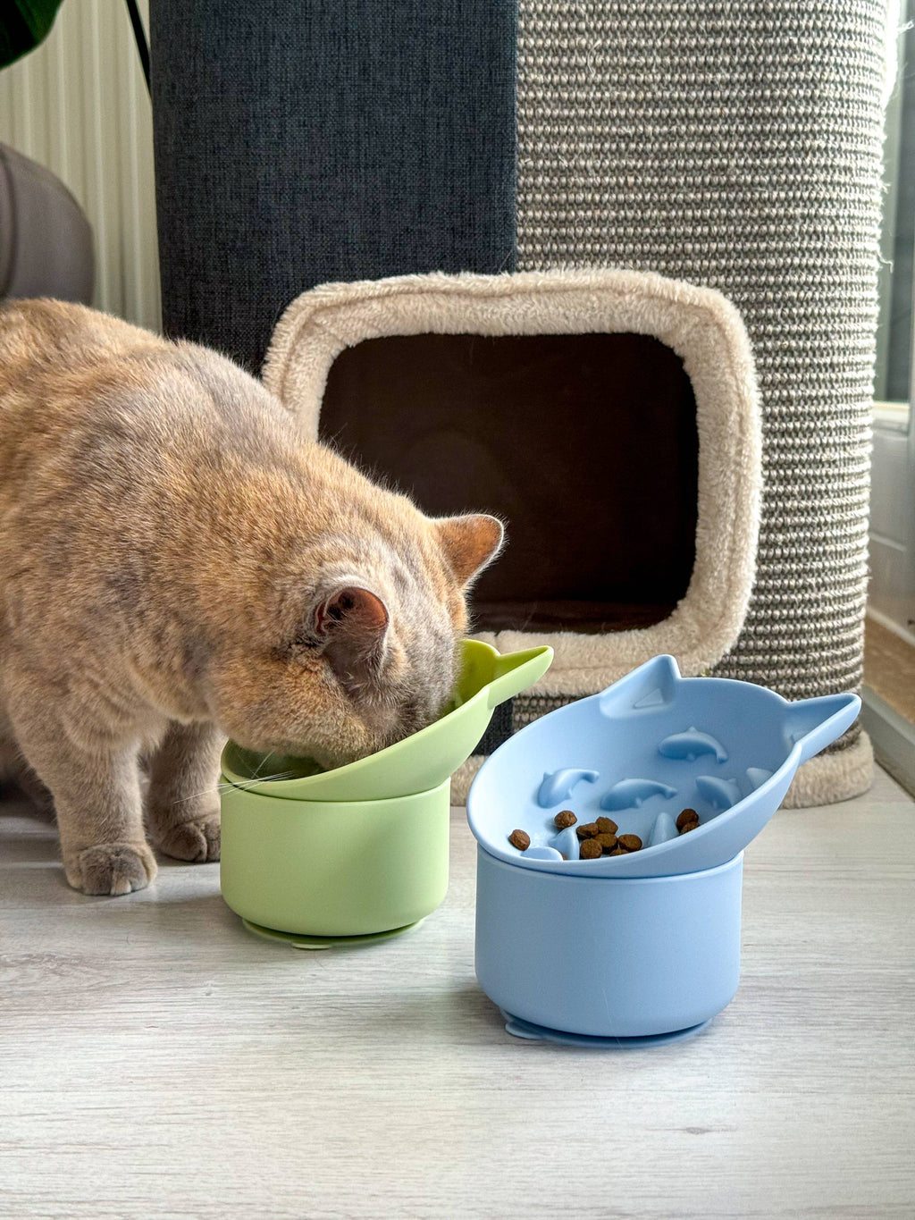 Gamelle pour chat