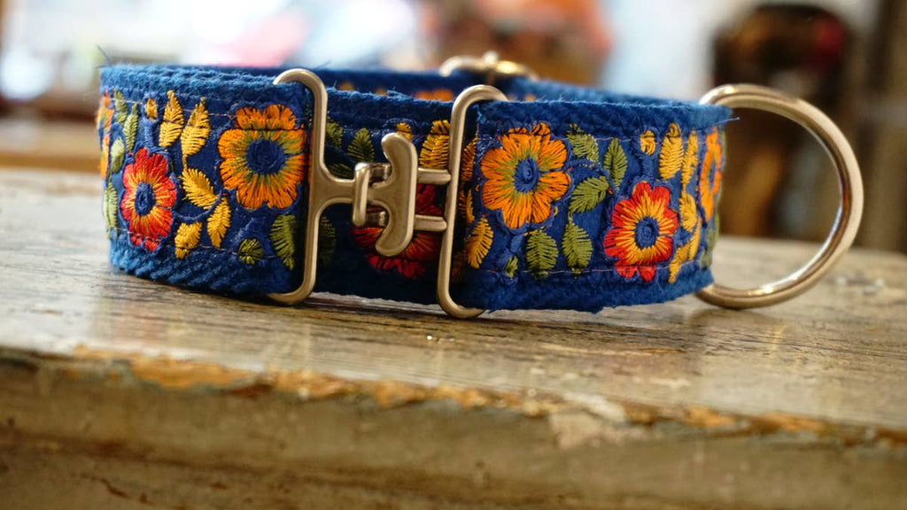 Collier large « Summertime » pour chiens moyens et grands