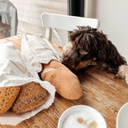 Jouet de fouille - BAGUETTE