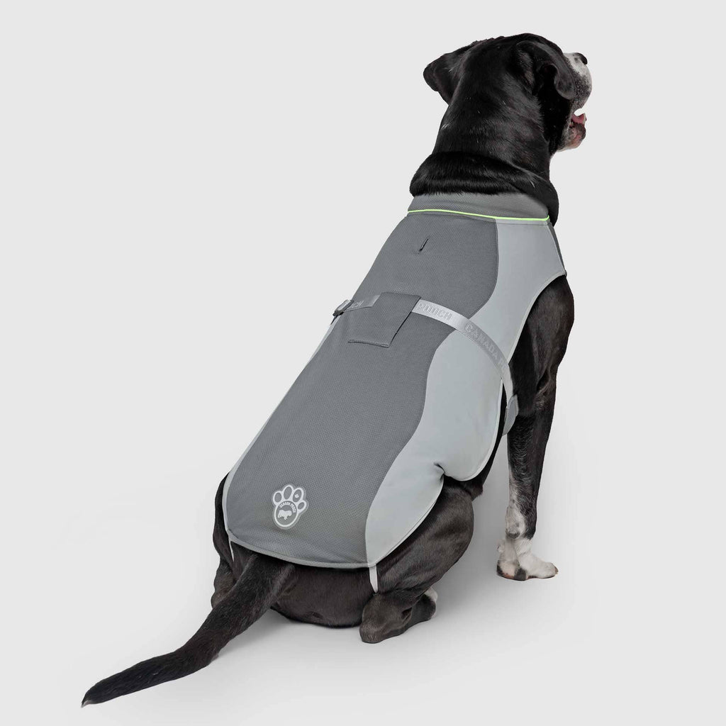 Gilet rafraîchissant Max Chill pour chien