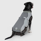 Gilet rafraîchissant Max Chill pour chien