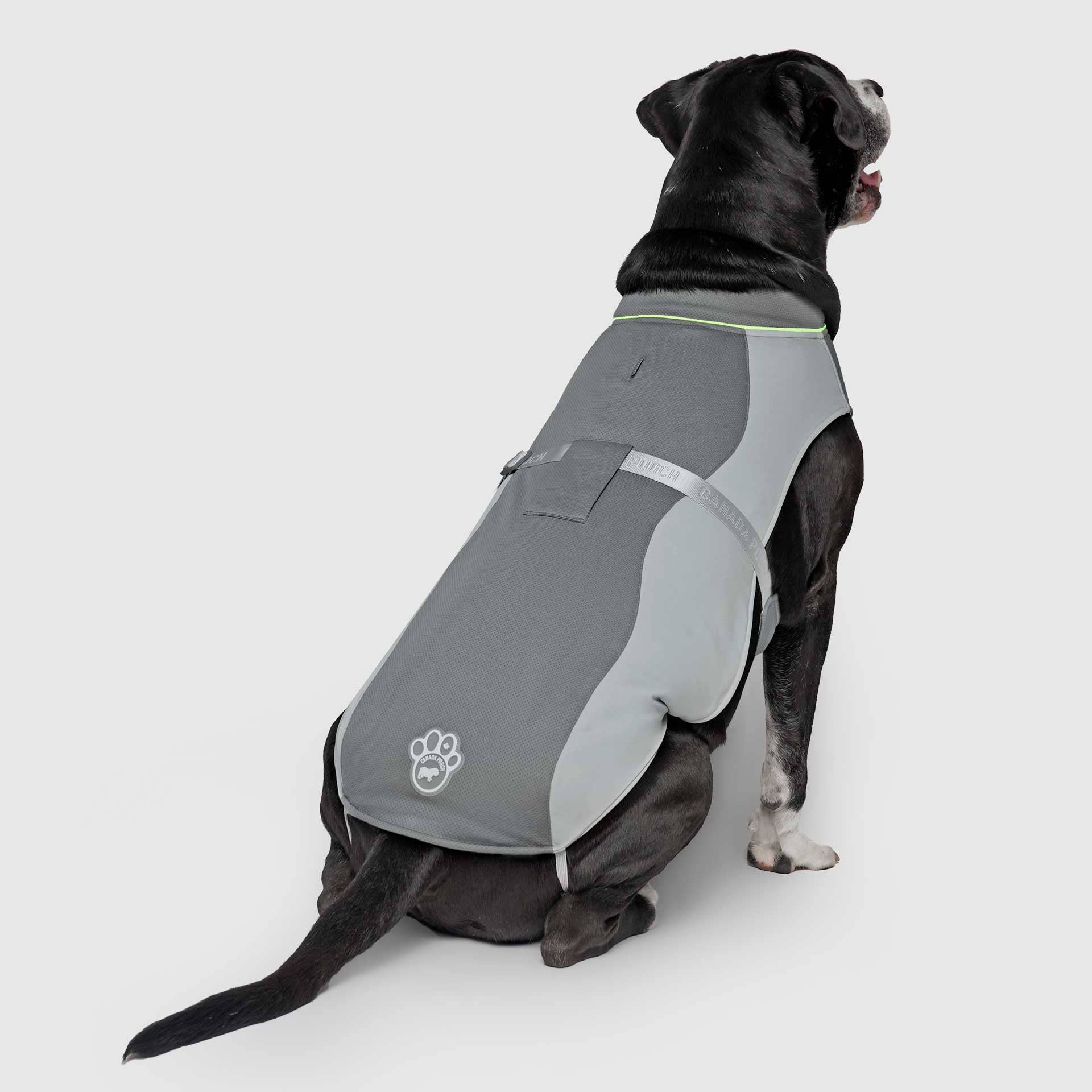 Gilet rafraîchissant Max Chill pour chien