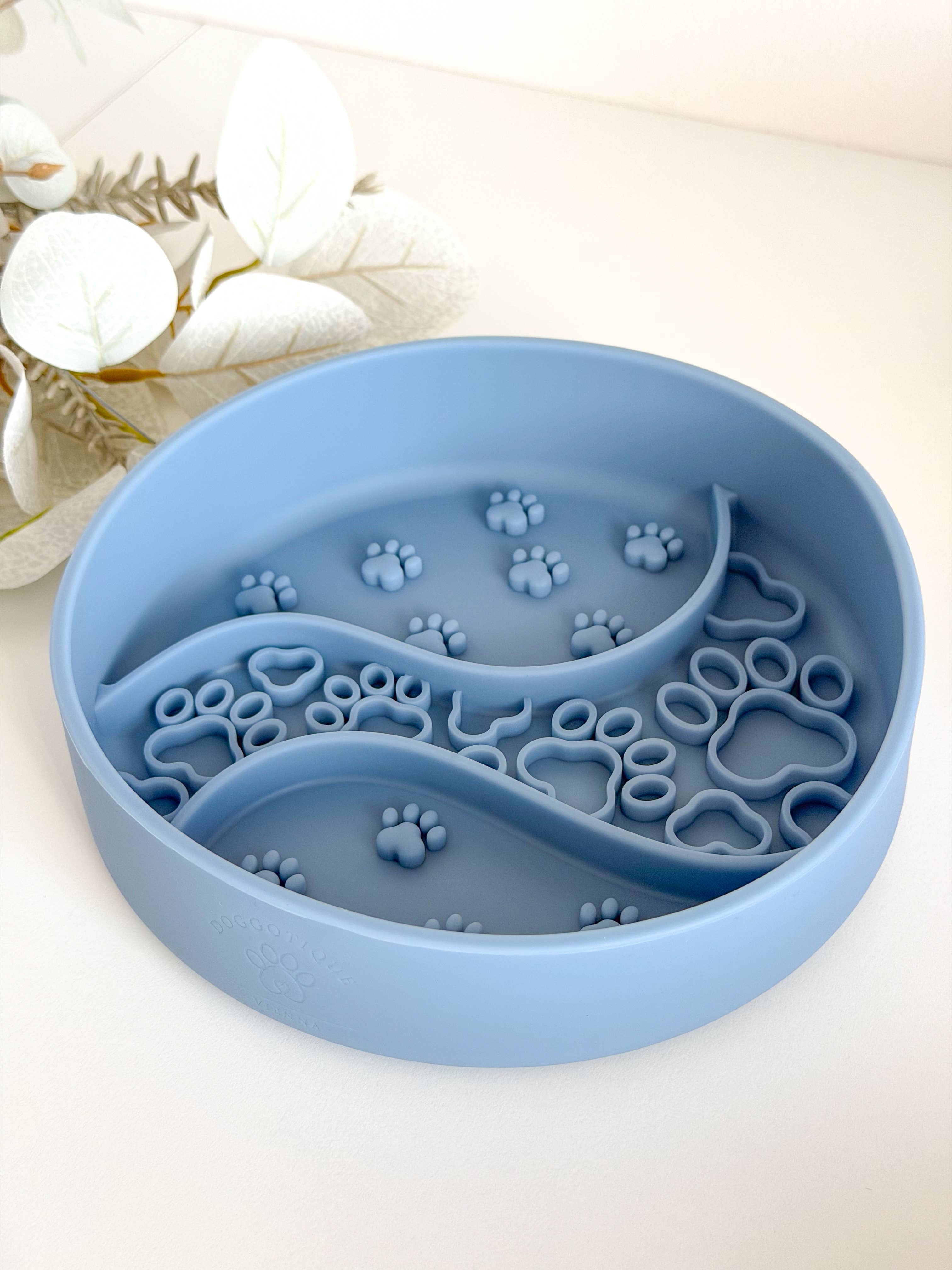Slow Bowl pour chien