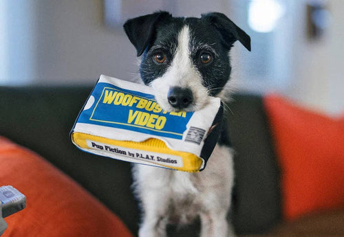 Jouet - Woofbuster Vidéo