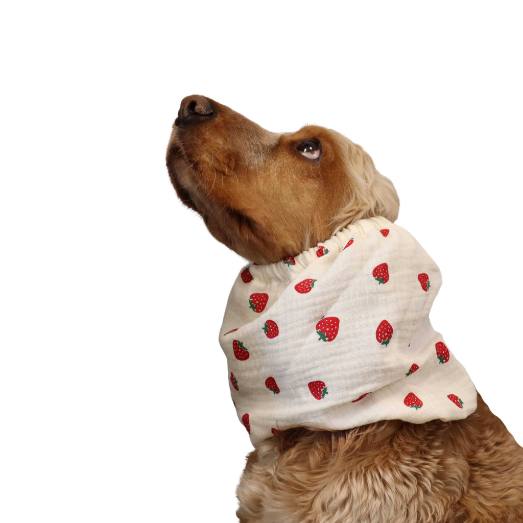 Snood léger en coton mousseline pour chien avec motif fraises