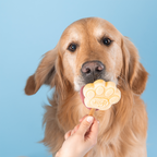 Glace pour chien - Beurre de cacahuète