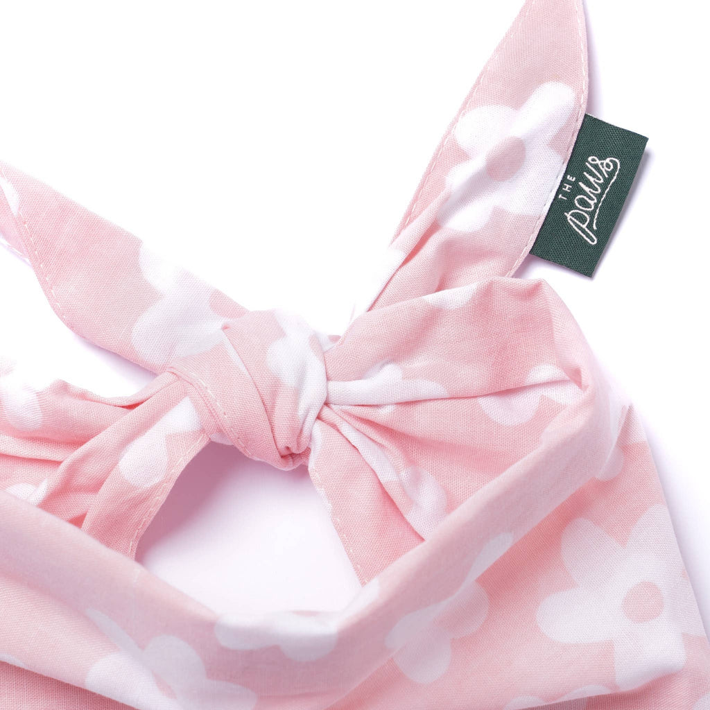 Bandana pour chien Daisie