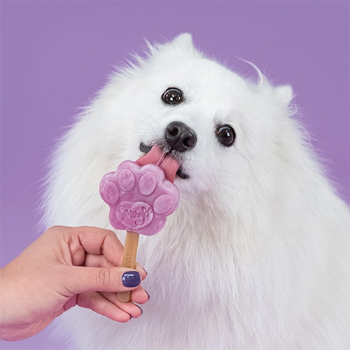 Glace pour chien - Myrtille