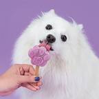Glace pour chien - Myrtille