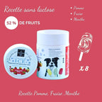 Glace pour chien pomme-fraise