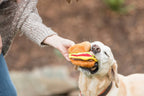 Jouet - Burger