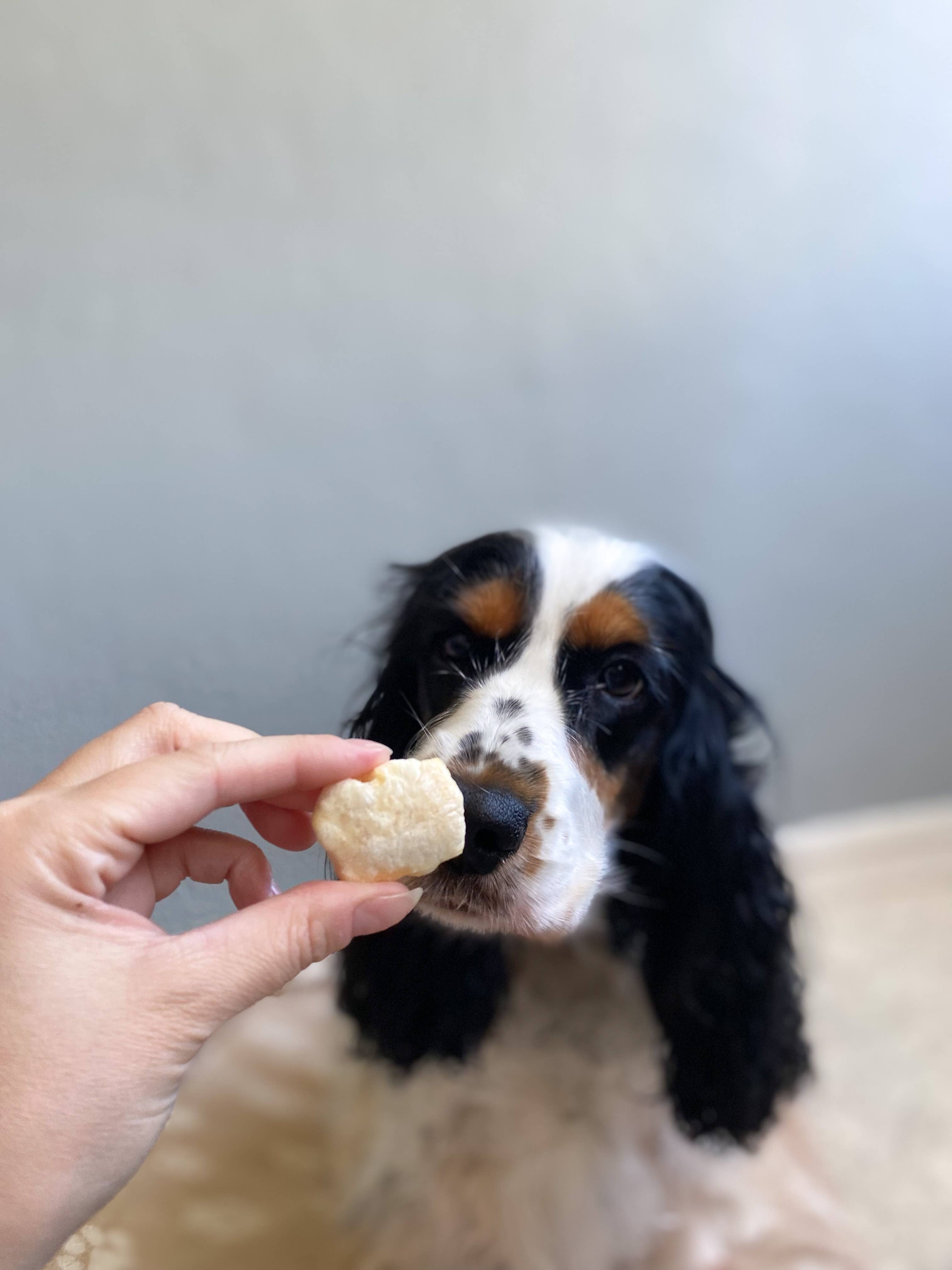 Pop's de fromage soufflés