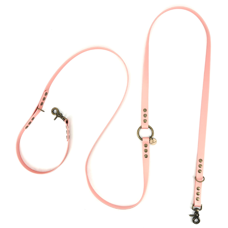 Laisse chien MULTIPOSITION biothane - BONBON ROSE