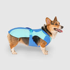 Gilet rafraîchissant Max Chill pour chien