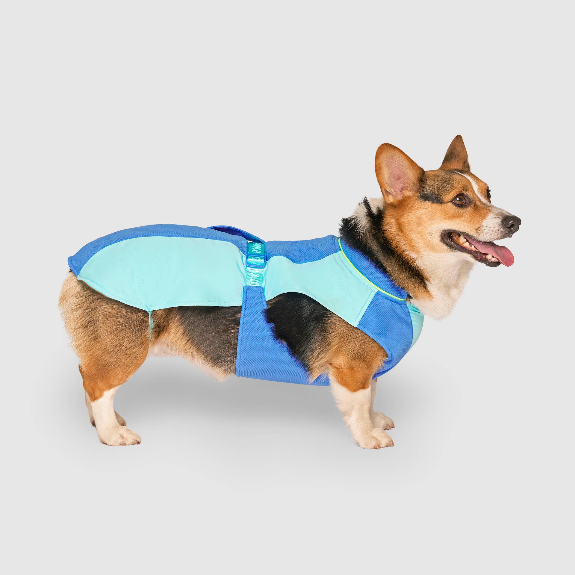 Gilet rafraîchissant Max Chill pour chien
