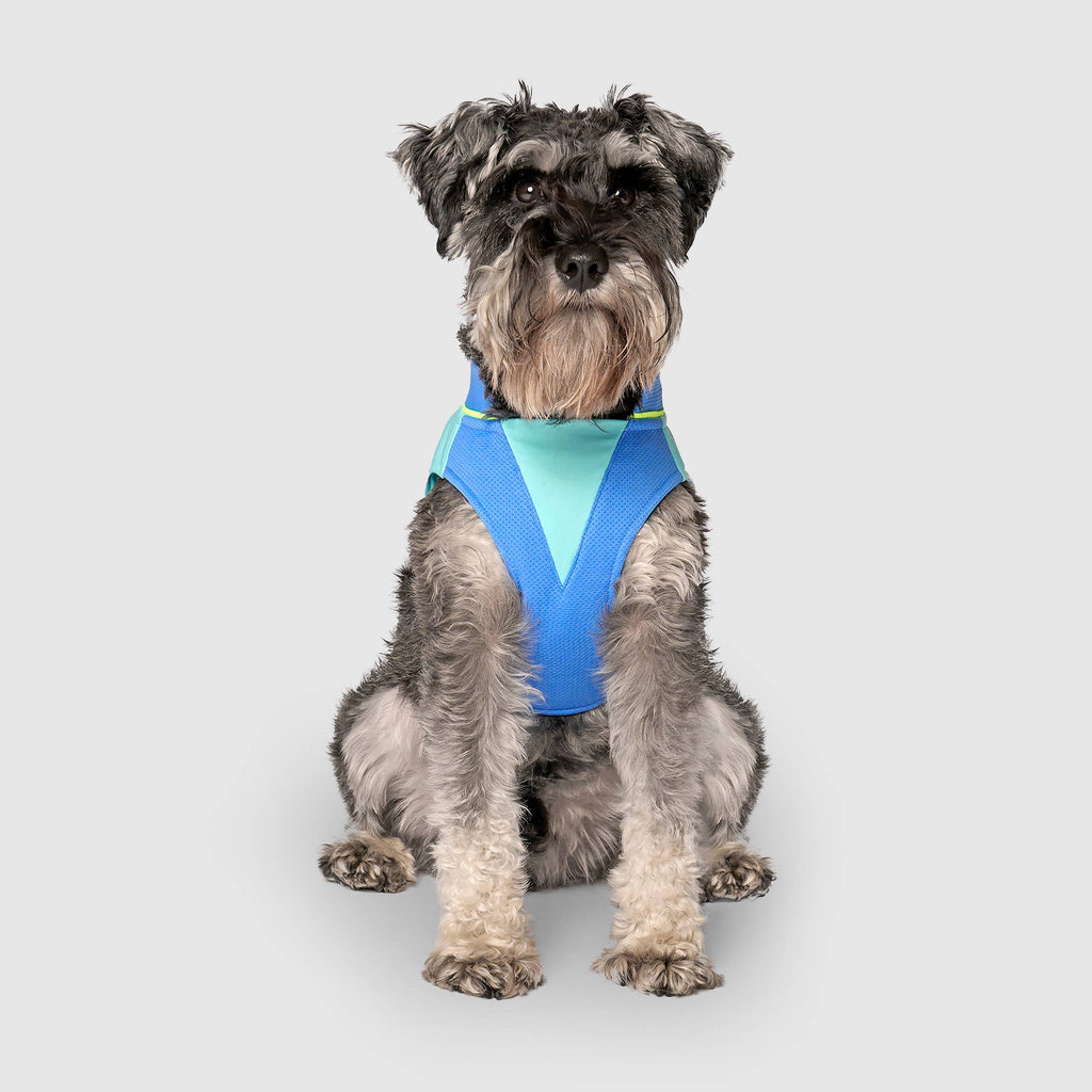 Gilet rafraîchissant Max Chill pour chien