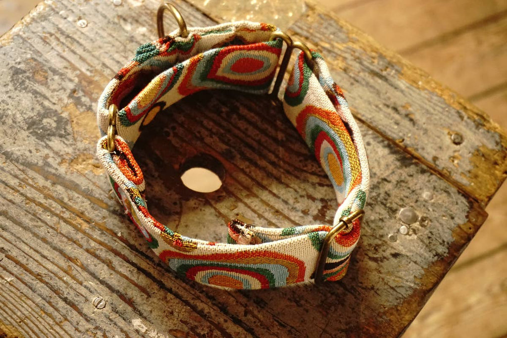Collier anti-fugue Carlotta pour chiens moyens et grands