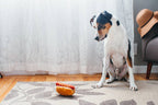Jouet - Hot Dog