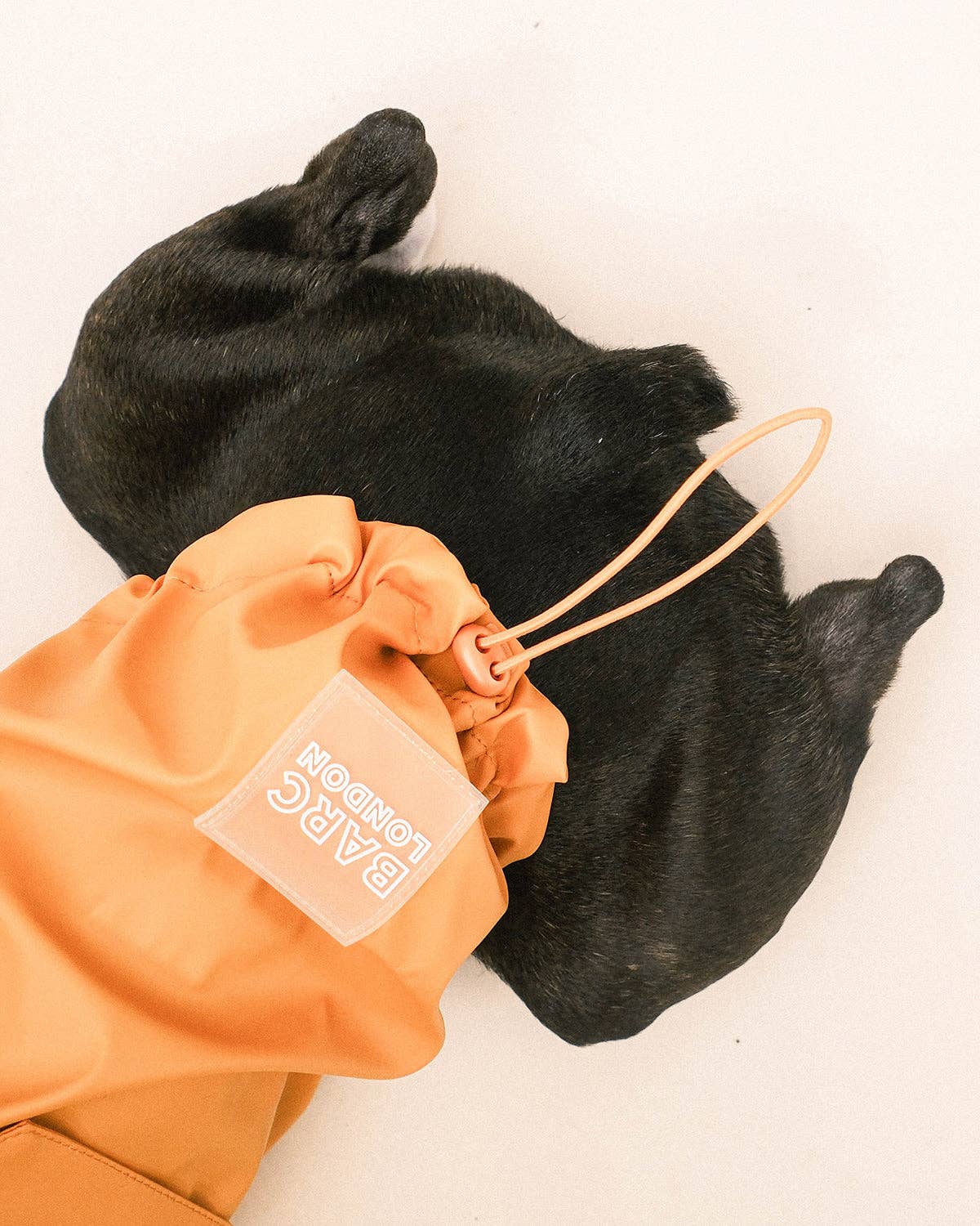 Imperméable orange pour chien