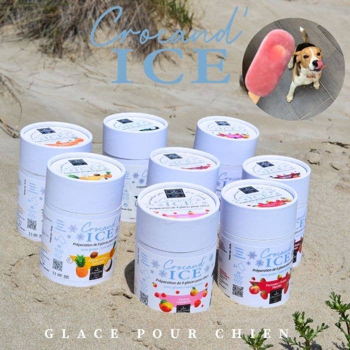 Glace pour chien  coco-banane