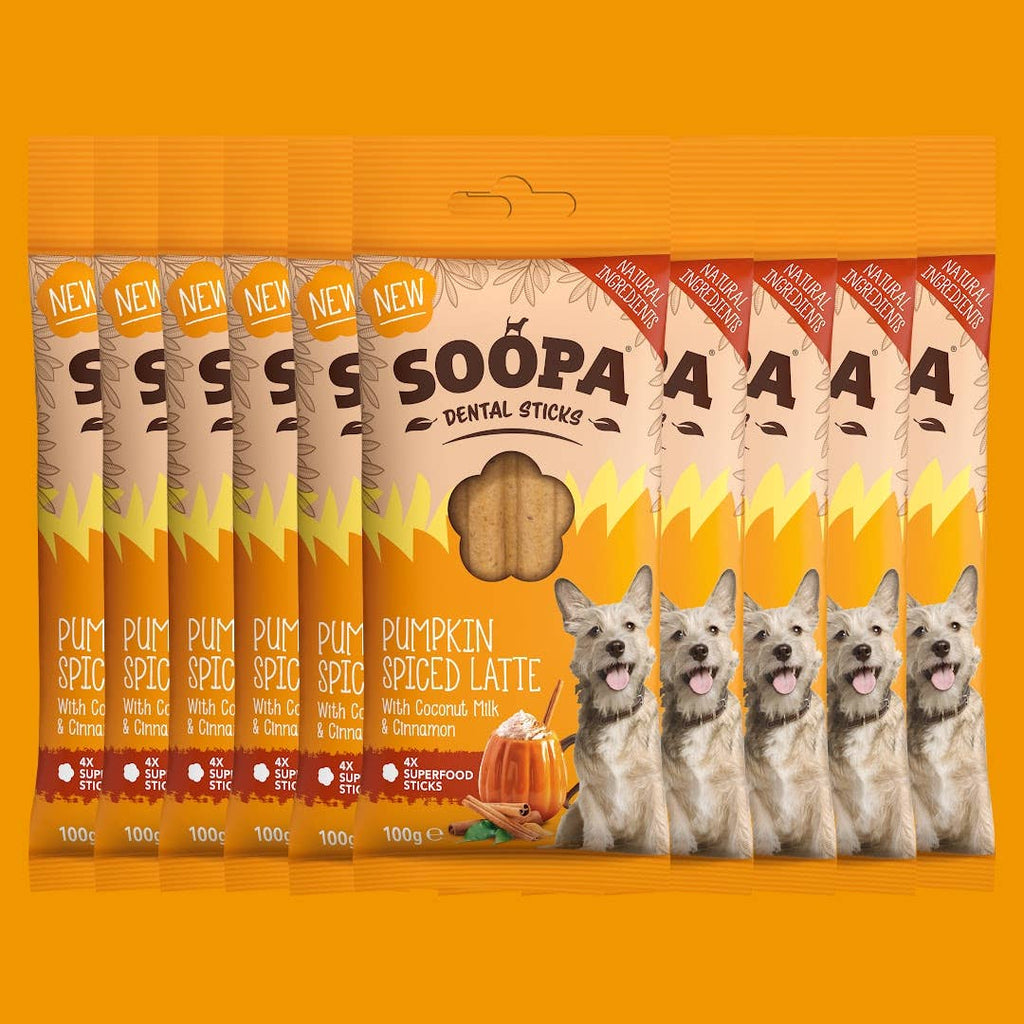 Bâtonnets dentaires - Pumpkin Spice