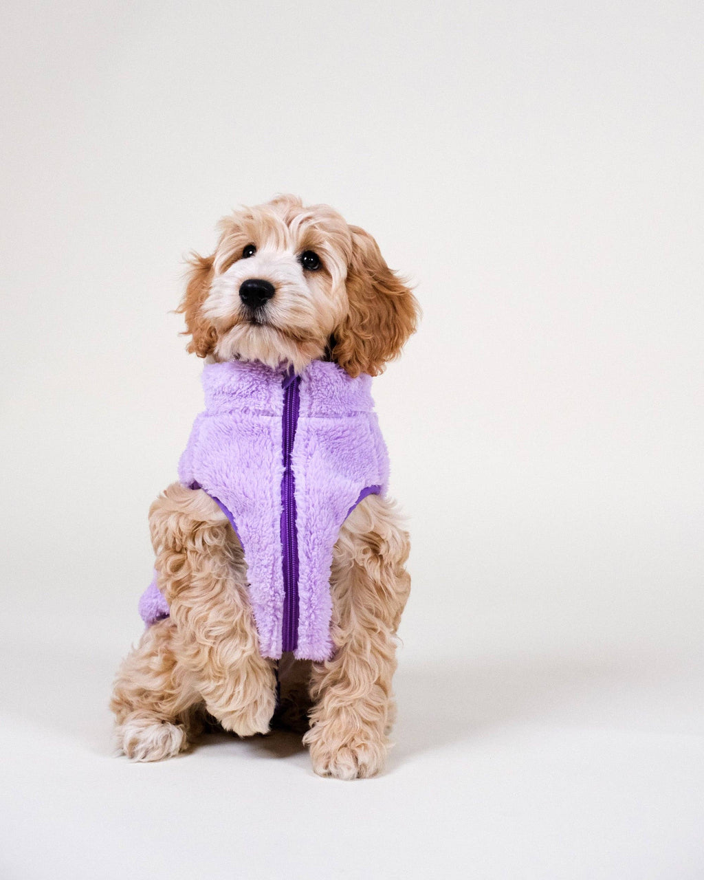 Veste  en polaire - Sherpa lilas