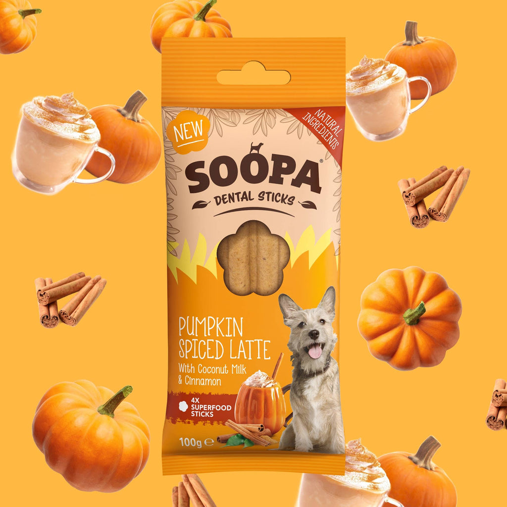 Bâtonnets dentaires - Pumpkin Spice