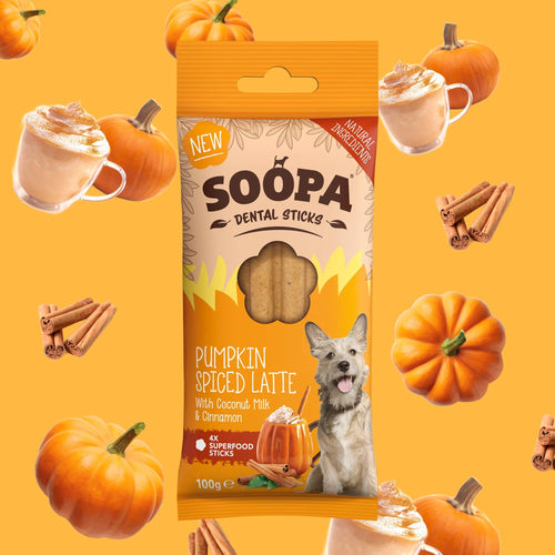 Bâtonnets dentaires - Pumpkin Spice
