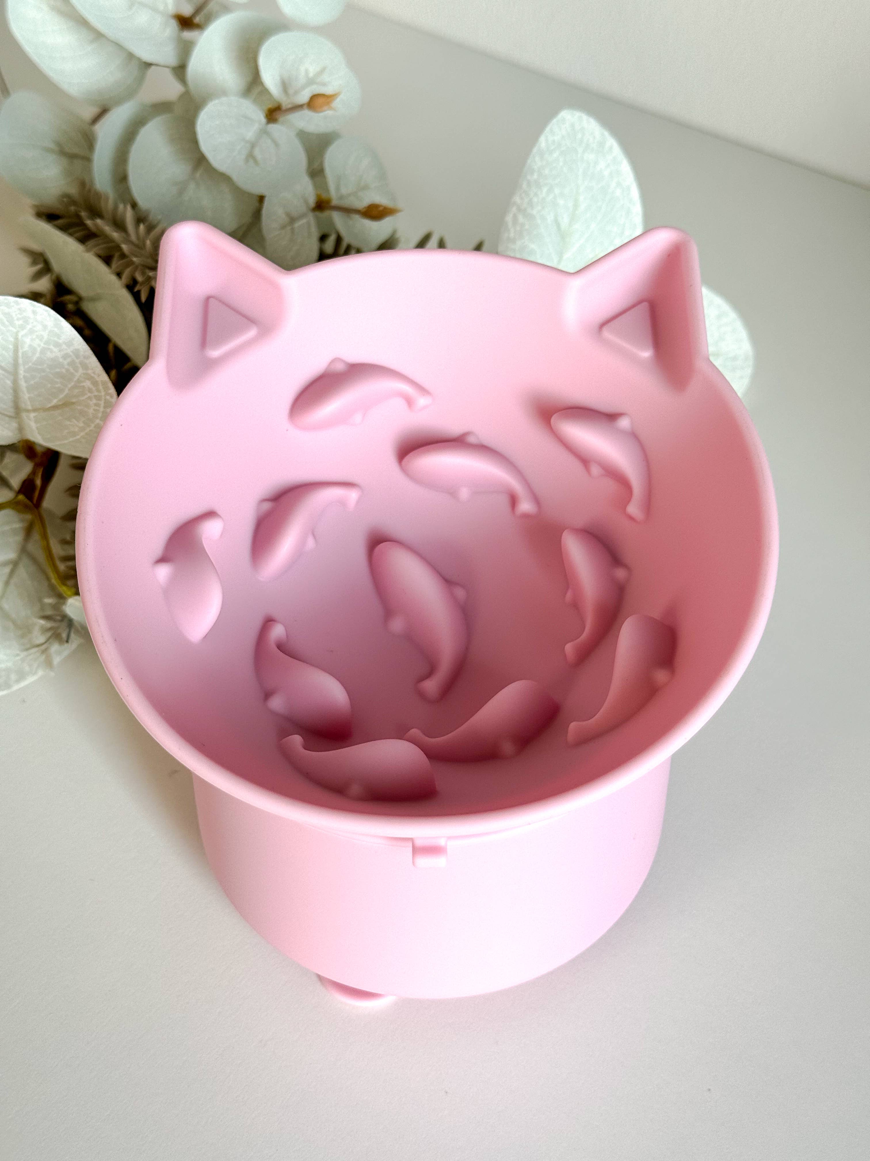Gamelle pour chat