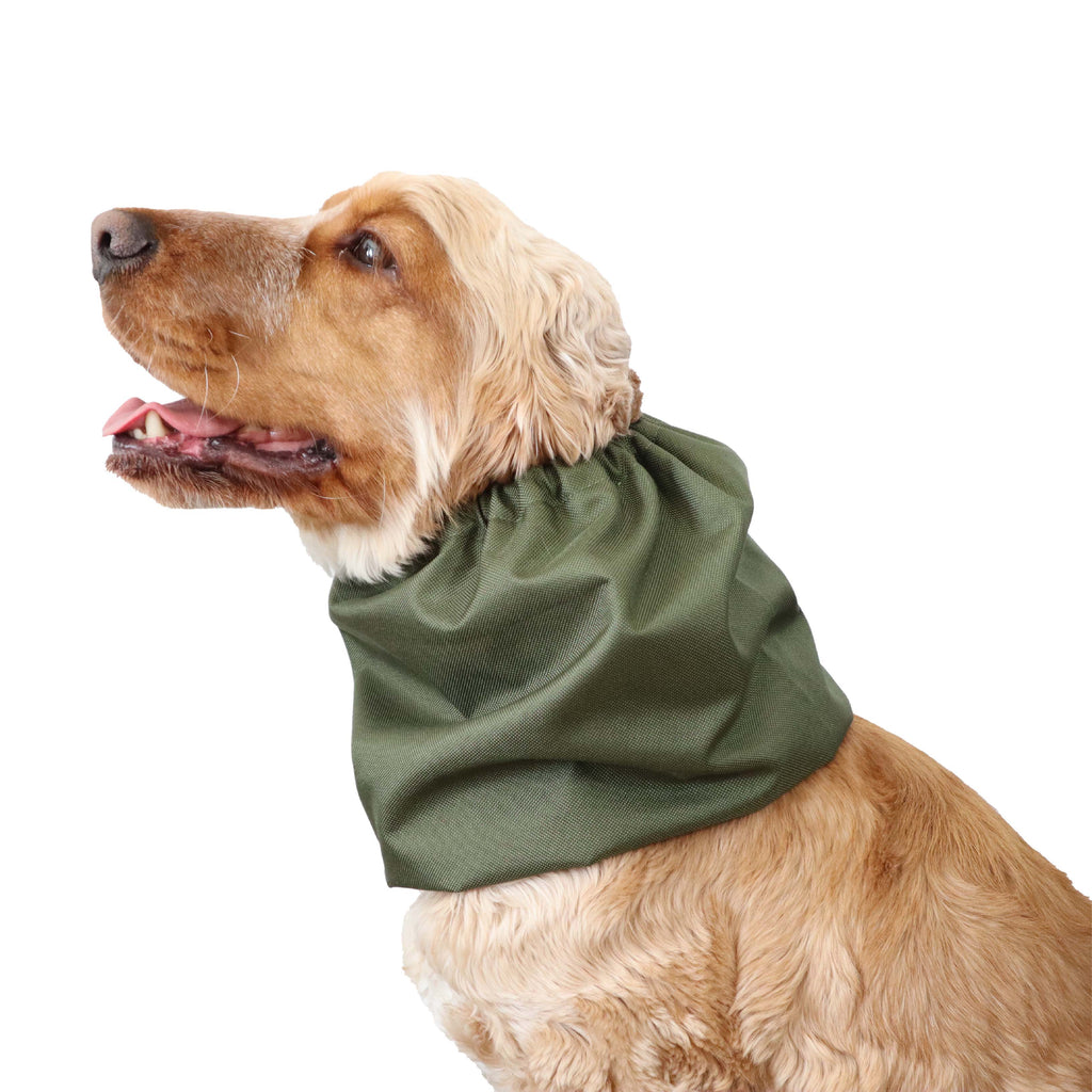 Snood Imperméable pour Chien | Vert Olive