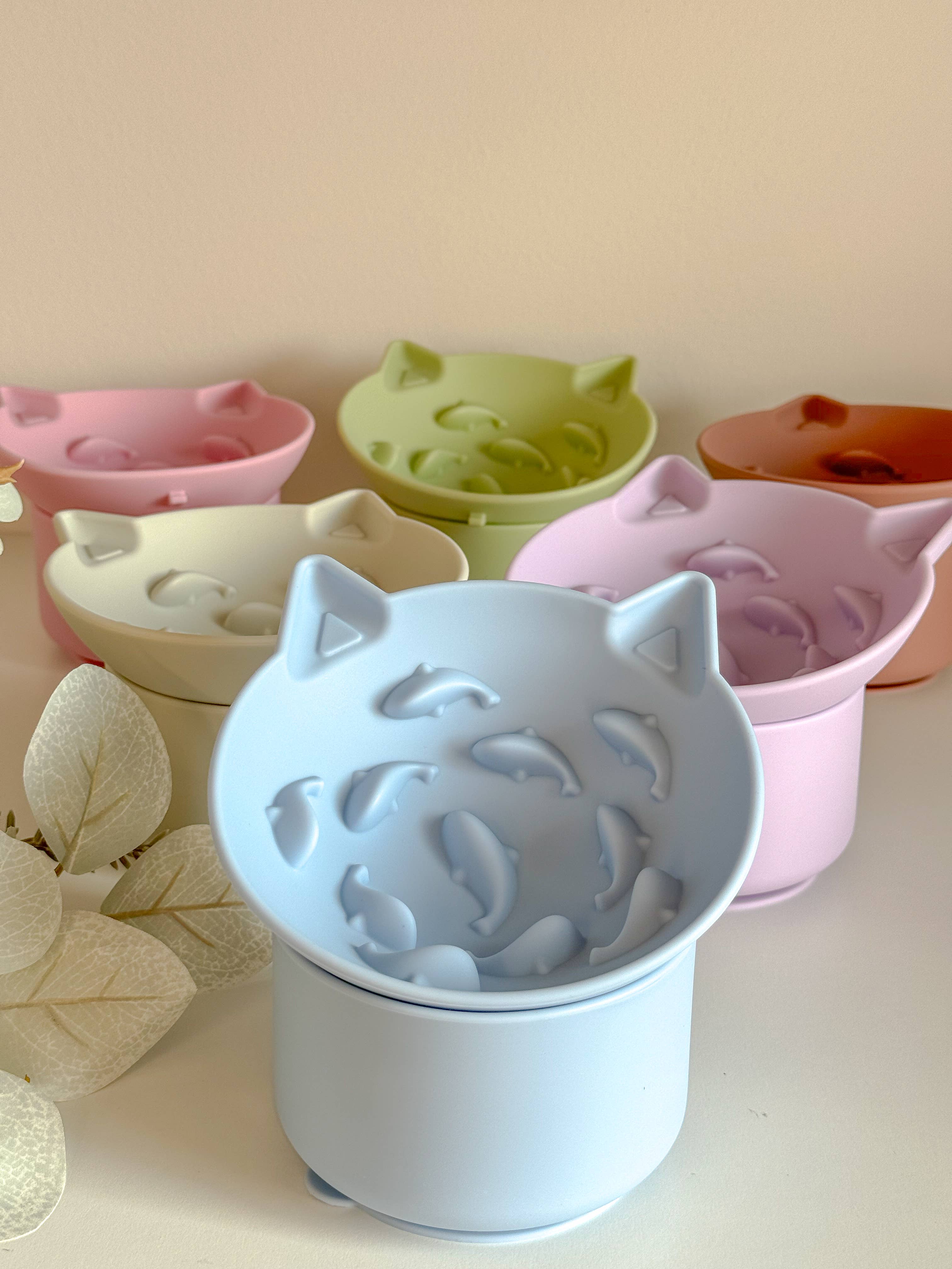 Gamelle pour chat