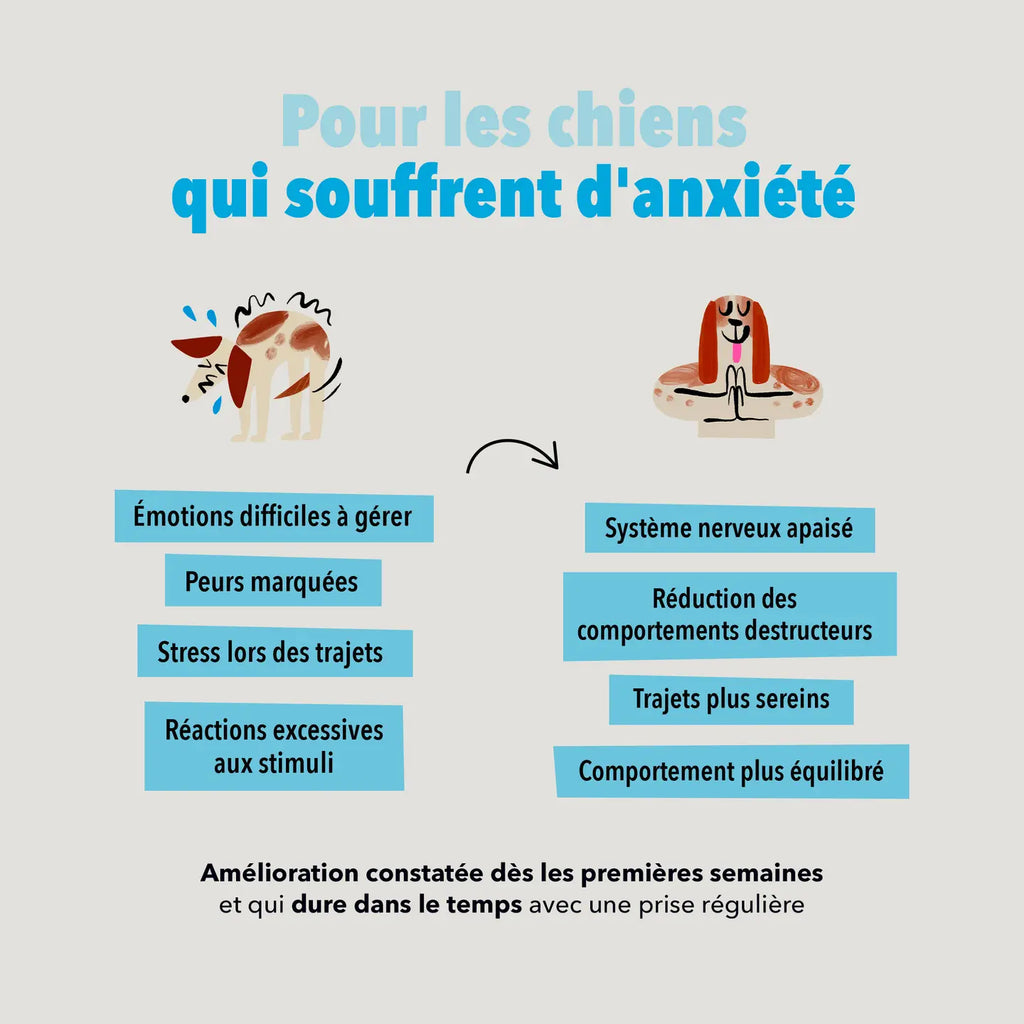 Bouchées