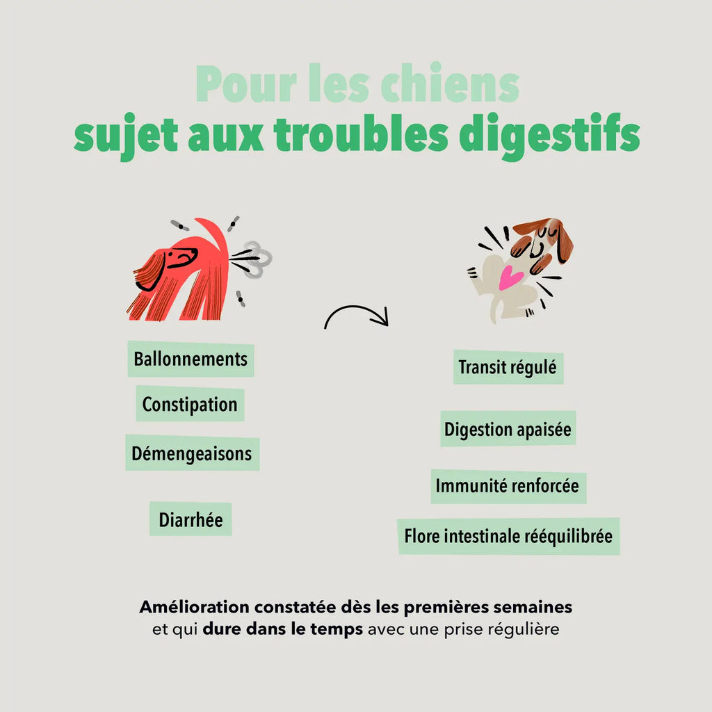 Bouchées